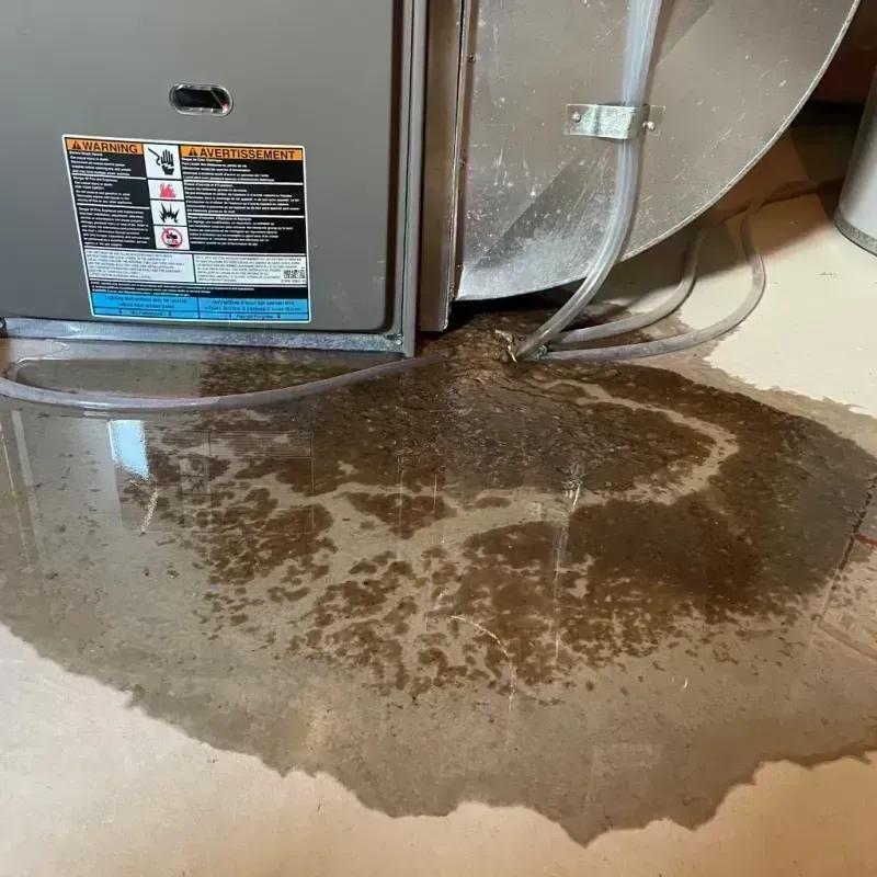 Appliance Leak Cleanup in Southern View, IL